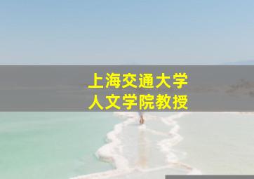 上海交通大学人文学院教授