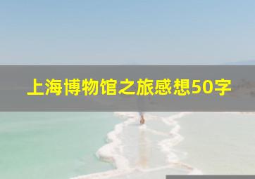 上海博物馆之旅感想50字