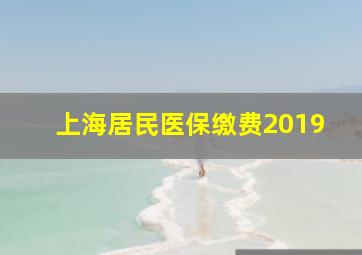 上海居民医保缴费2019