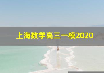 上海数学高三一模2020