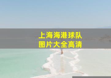 上海海港球队图片大全高清