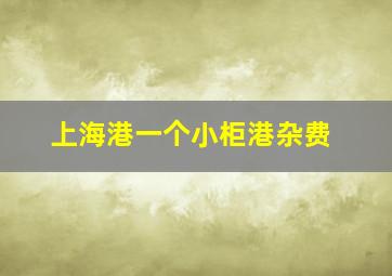 上海港一个小柜港杂费