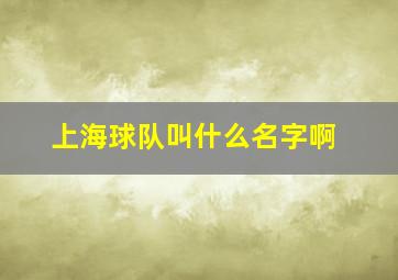 上海球队叫什么名字啊