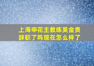 上海申花主教练吴金贵辞职了吗现在怎么样了