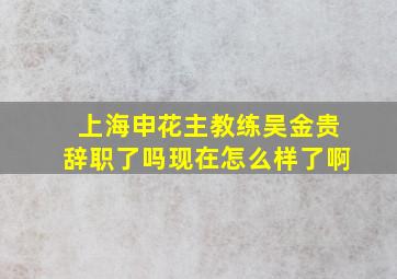 上海申花主教练吴金贵辞职了吗现在怎么样了啊