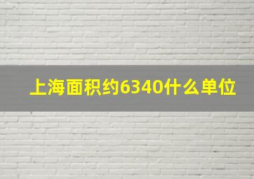 上海面积约6340什么单位