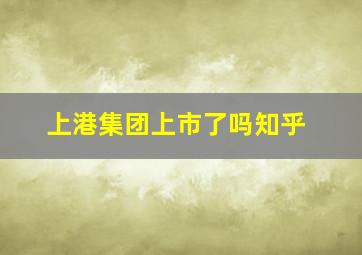 上港集团上市了吗知乎