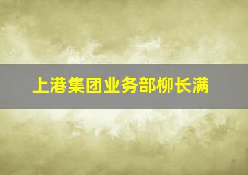 上港集团业务部柳长满