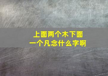 上面两个木下面一个凡念什么字啊