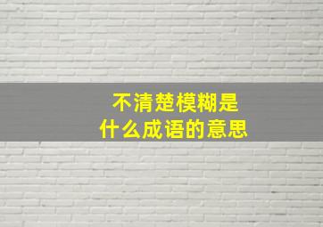 不清楚模糊是什么成语的意思