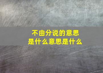 不由分说的意思是什么意思是什么