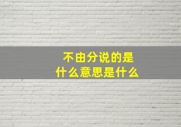 不由分说的是什么意思是什么