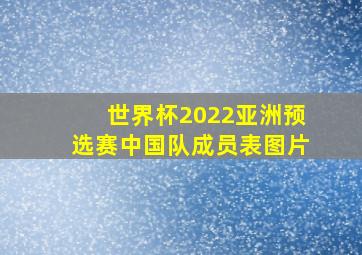 世界杯2022亚洲预选赛中国队成员表图片