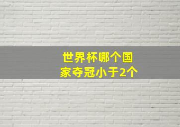 世界杯哪个国家夺冠小于2个