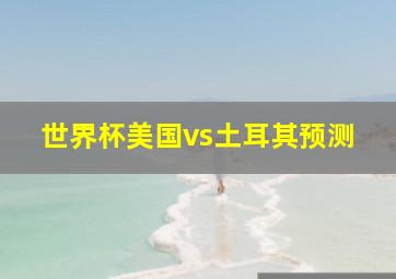 世界杯美国vs土耳其预测