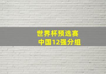 世界杯预选赛中国12强分组