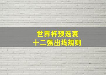 世界杯预选赛十二强出线规则