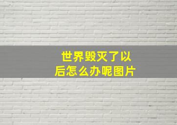 世界毁灭了以后怎么办呢图片