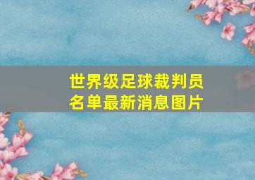 世界级足球裁判员名单最新消息图片