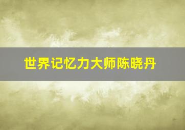 世界记忆力大师陈晓丹