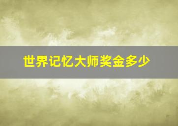 世界记忆大师奖金多少