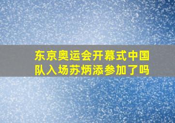 东京奥运会开幕式中国队入场苏炳添参加了吗