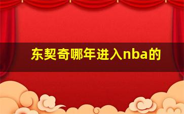 东契奇哪年进入nba的