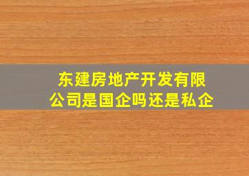 东建房地产开发有限公司是国企吗还是私企