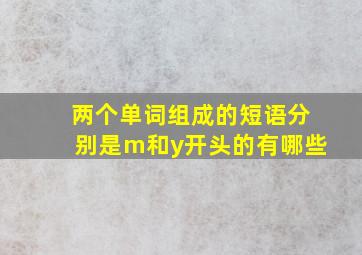 两个单词组成的短语分别是m和y开头的有哪些