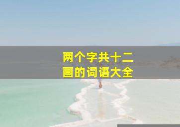 两个字共十二画的词语大全