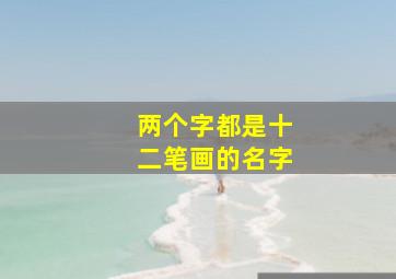 两个字都是十二笔画的名字