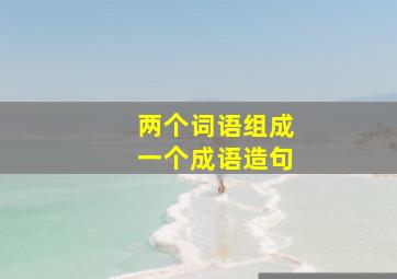 两个词语组成一个成语造句