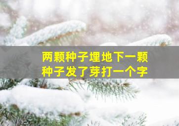 两颗种子埋地下一颗种子发了芽打一个字