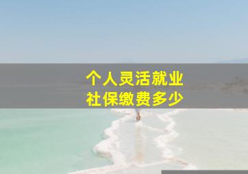 个人灵活就业社保缴费多少