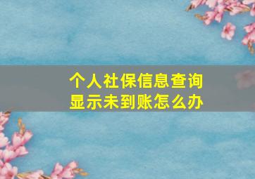 个人社保信息查询显示未到账怎么办