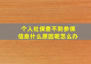 个人社保查不到参保信息什么原因呢怎么办