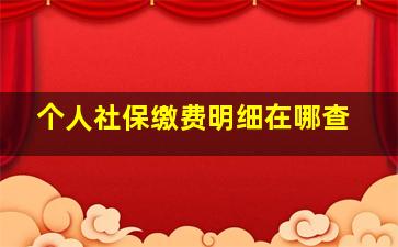 个人社保缴费明细在哪查