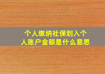 个人缴纳社保划入个人账户金额是什么意思