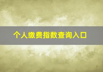 个人缴费指数查询入口