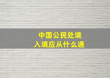 中国公民处境入境应从什么通