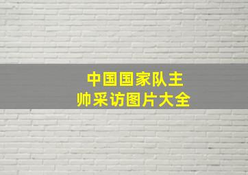 中国国家队主帅采访图片大全