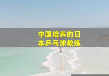 中国培养的日本乒乓球教练