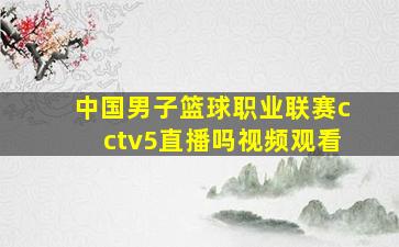 中国男子篮球职业联赛cctv5直播吗视频观看