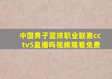 中国男子篮球职业联赛cctv5直播吗视频观看免费