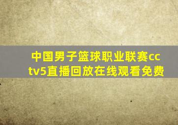 中国男子篮球职业联赛cctv5直播回放在线观看免费