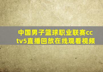 中国男子篮球职业联赛cctv5直播回放在线观看视频