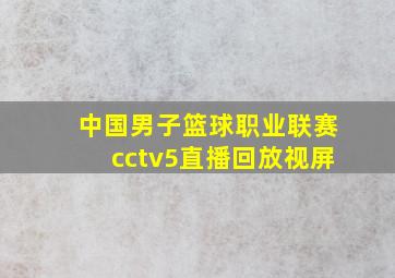 中国男子篮球职业联赛cctv5直播回放视屏