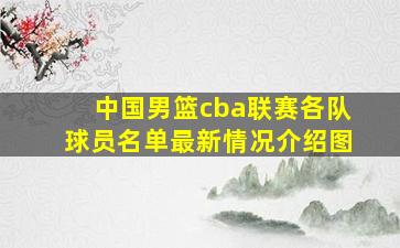 中国男篮cba联赛各队球员名单最新情况介绍图