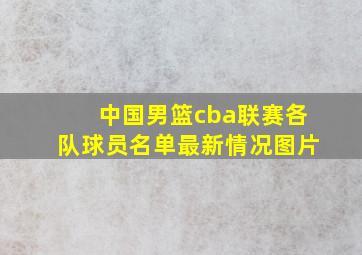 中国男篮cba联赛各队球员名单最新情况图片