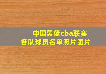 中国男篮cba联赛各队球员名单照片图片